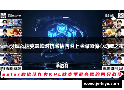 葡萄牙鏖战捷克巅峰对抗激情四溢上演绿茵惊心动魄之夜