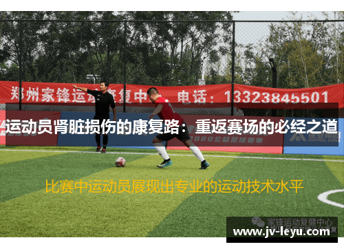 运动员肾脏损伤的康复路：重返赛场的必经之道